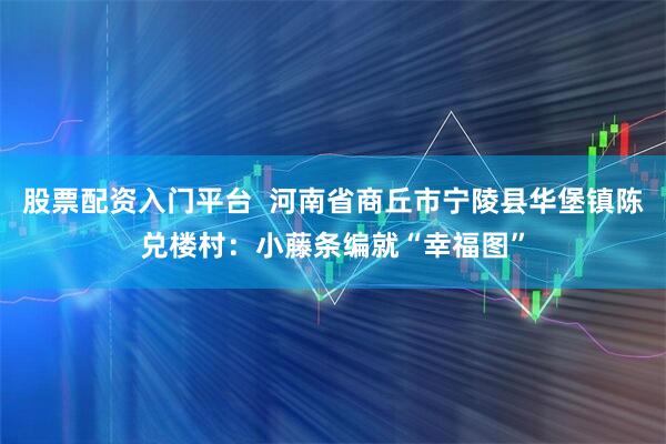 股票配资入门平台  河南省商丘市宁陵县华堡镇陈兑楼村：小藤条编就“幸福图”
