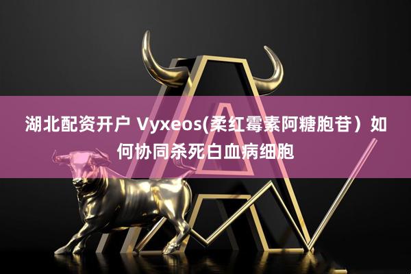 湖北配资开户 Vyxeos(柔红霉素阿糖胞苷）如何协同杀死白血病细胞