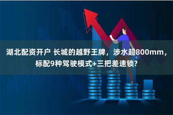 湖北配资开户 长城的越野王牌，涉水超800mm，标配9种驾驶模式+三把差速锁?