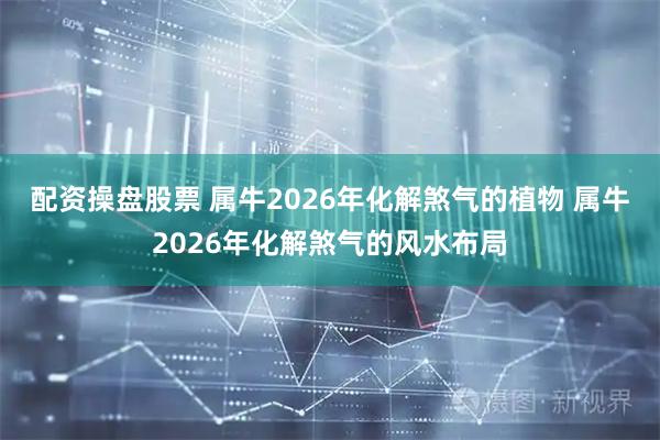 配资操盘股票 属牛2026年化解煞气的植物 属牛2026年化解煞气的风水布局